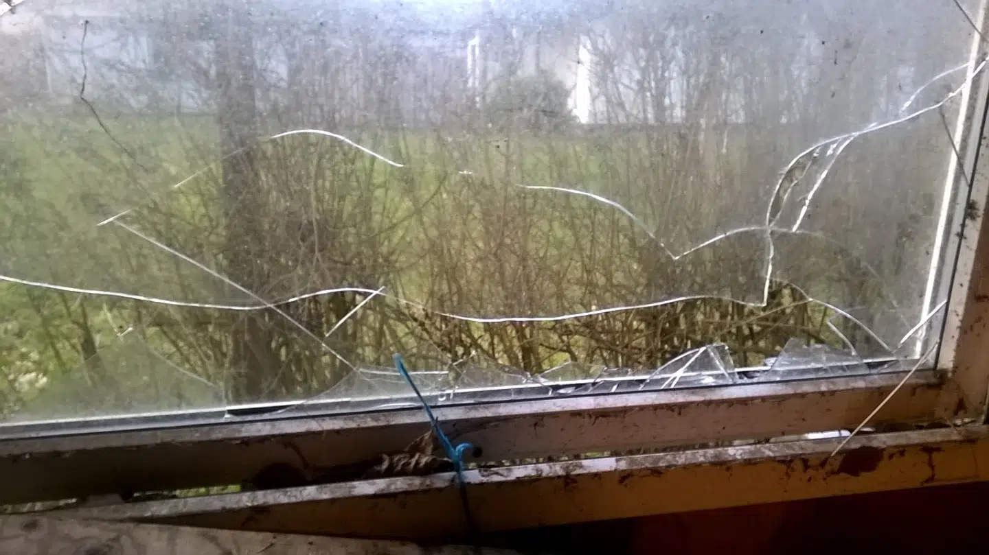 Flise kastet gennem rude.