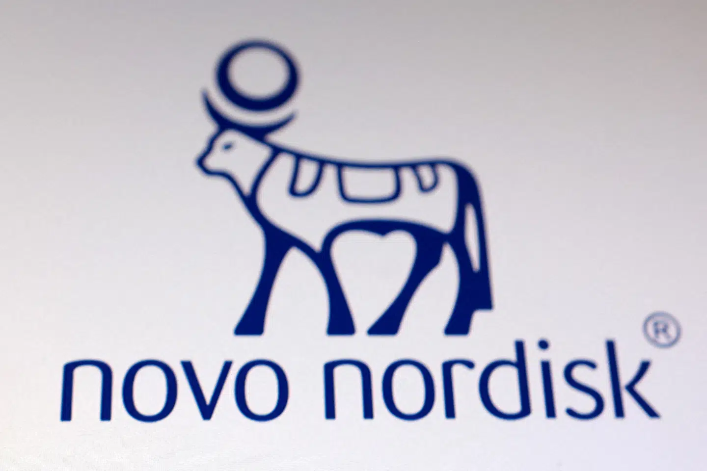 FILE PHOTO: Novo Nordisk logo is seen in this illustration taken August 5, 2025. REUTERS/Dado Ruvic/Illustration/File Photo
