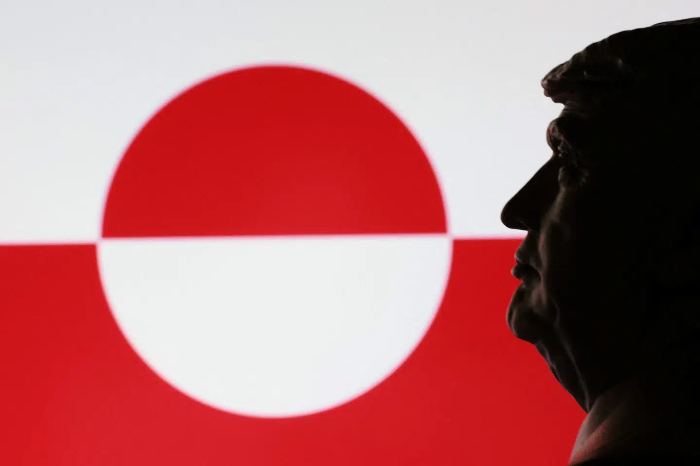 Trump, der her er 3D-printet, har sat næsen op efter at få fingre i de såkaldte sjældne jordartsmetaller i Grønland. Men USA har dem selv i rigeligt mål, så det er som at gå over åen efter vand, siger geologer.