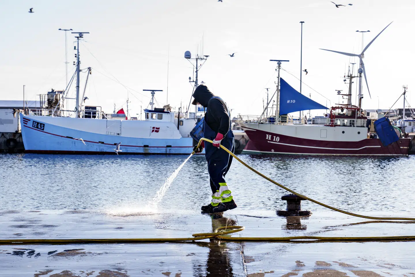 Fremgangen i landingsværdien for dansk fiskeri i 2025 skyldes ifølge Fiskeri Tidende en kombination af, at industrifiskeriet var godt i 2025, og at priserne holdt et højt niveau på både industrifisk og konsumfisk. (Arkivfoto).