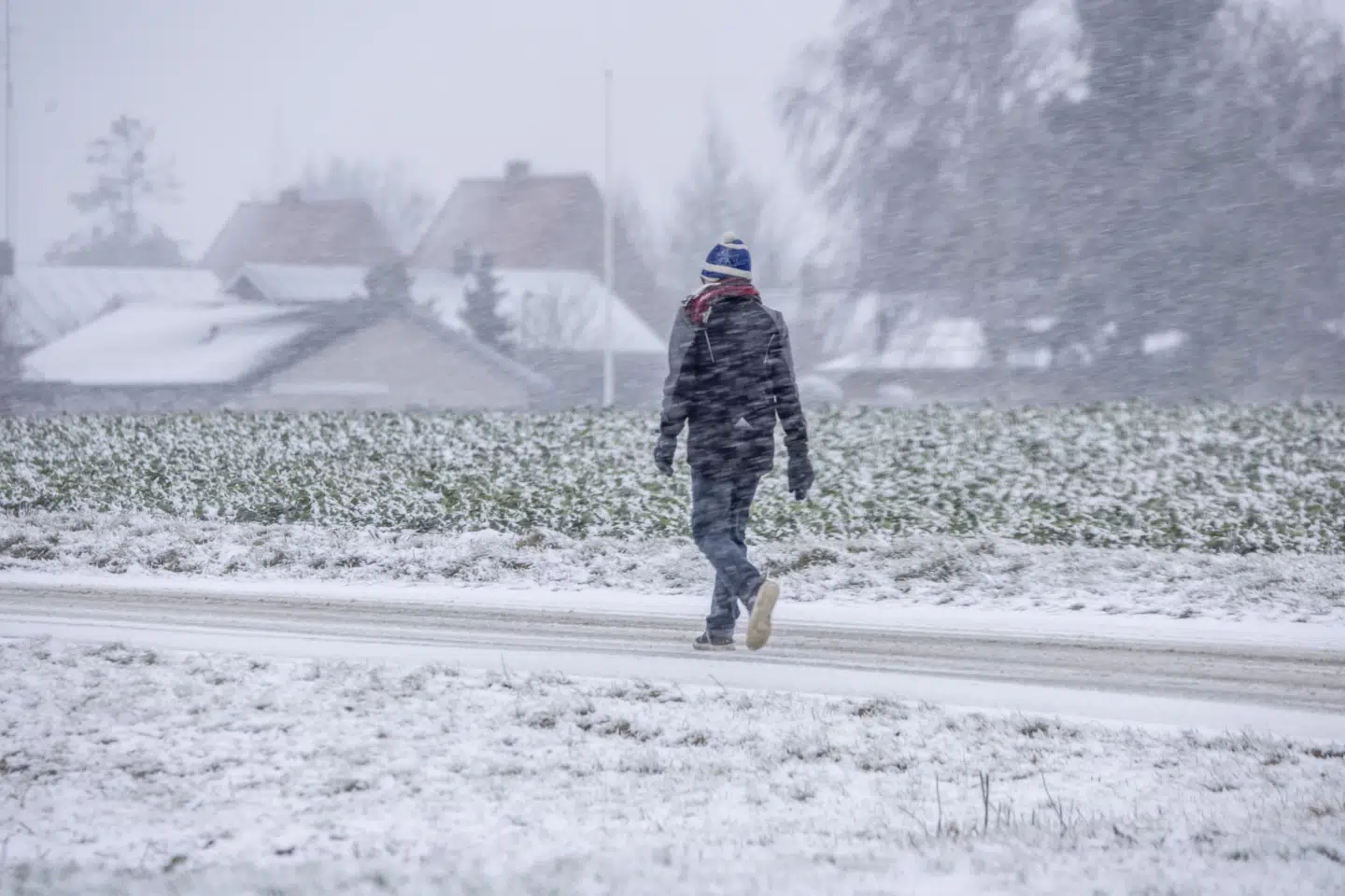 I de sydlige egne ventes at falde mellem 5 og 15 centimeter sne - lokalt op til 20 centimeter. På Bornholm ventes der at falde op til 25 centimeter.(Arkivfoto).