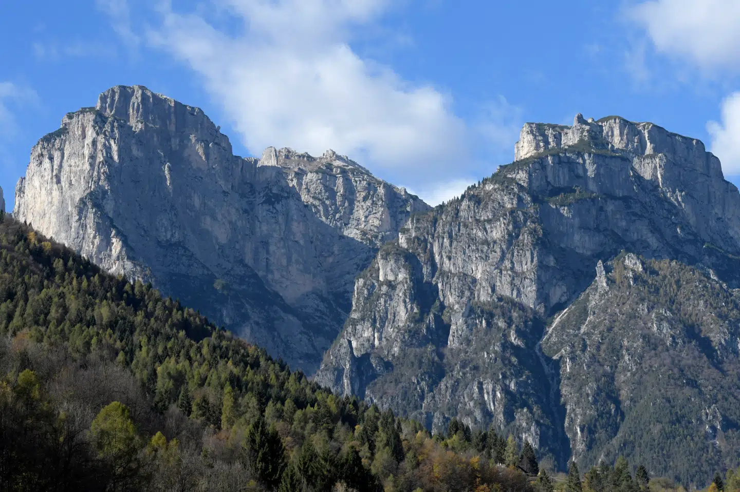 Italienske forskere påstod, at træerne i Dolomitterne havde forudset en solformørkelse. Foto: Miguel Medina