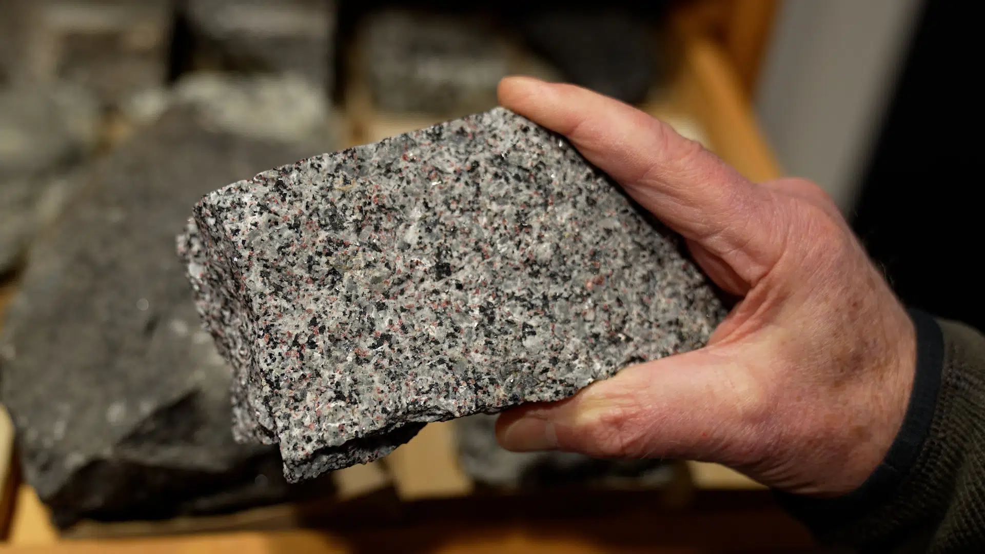 Ekspert i sjældne jordarter går i rettte med Trump: »Jeg er ikke sikker på, at Grønland løser hans problem«