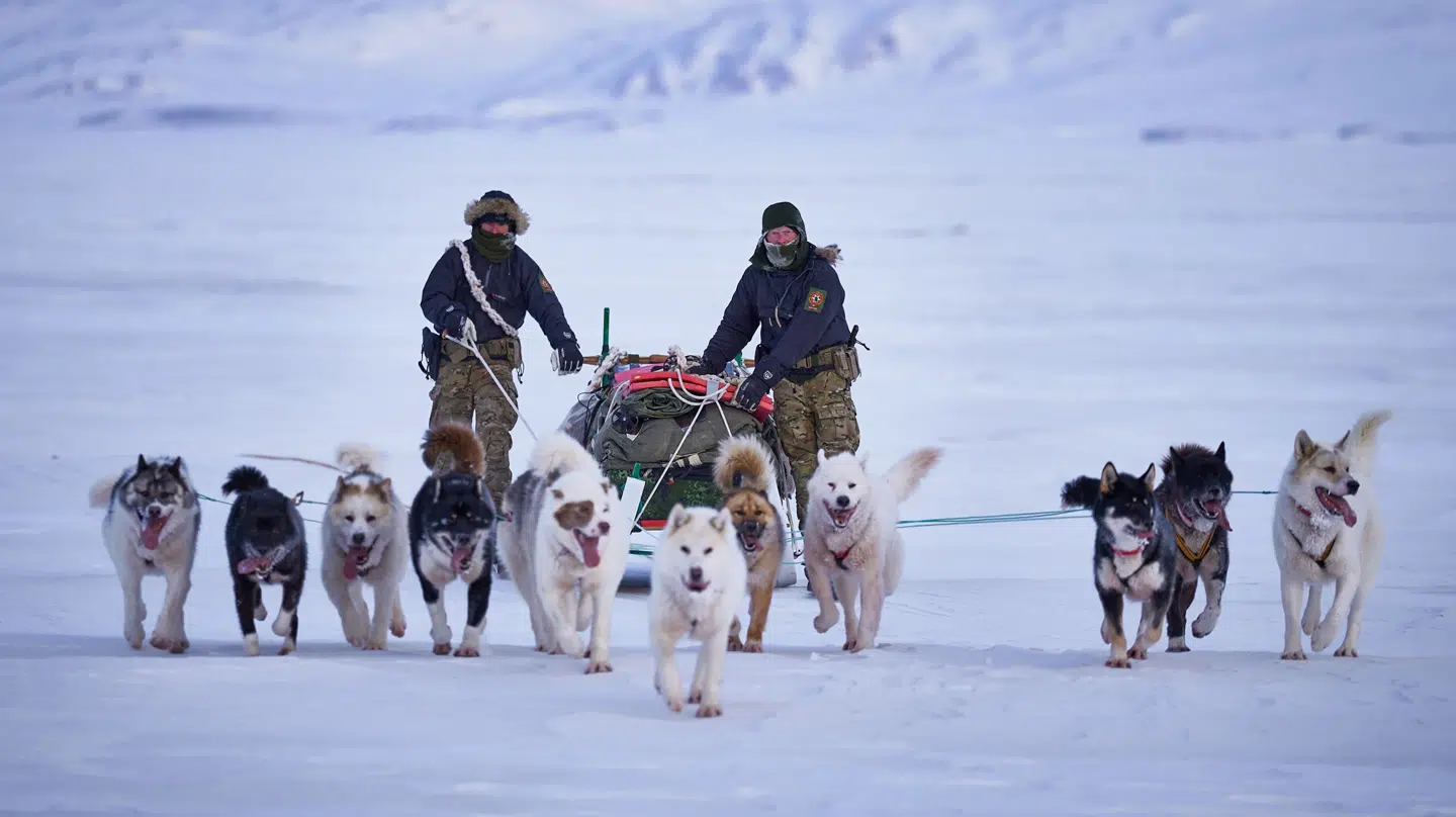 Udover overvågning og suverænitetshævdelse varetager Siriuspatruljen også politimyndigheden i verdens største nationalpark i Nordøstgrønland.