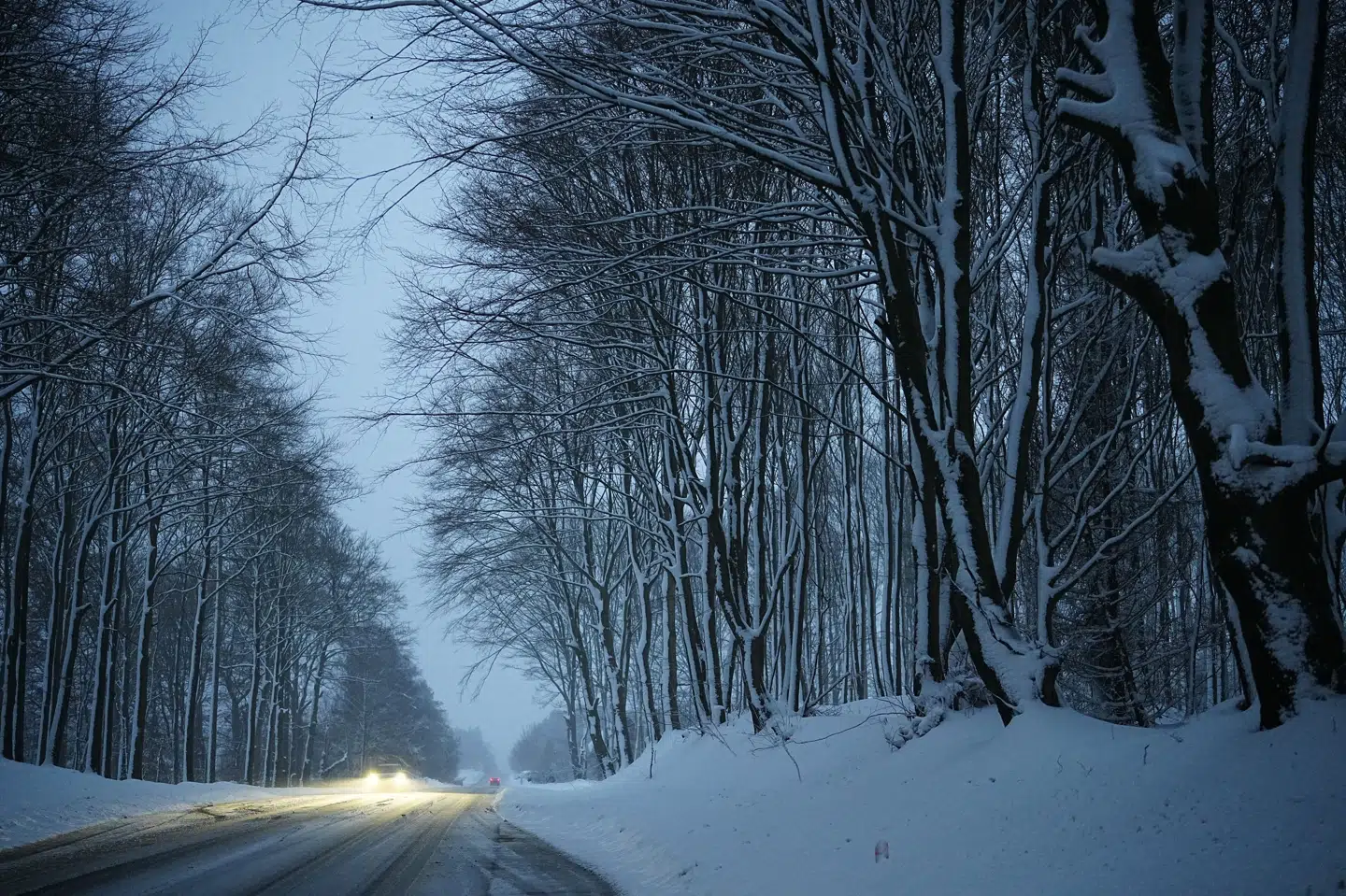 DMI har torsdag og fredag varslet snestorm i den sydlige del af landet. Billedet er fra Sydsjælland torsdag. (Arkivfoto).