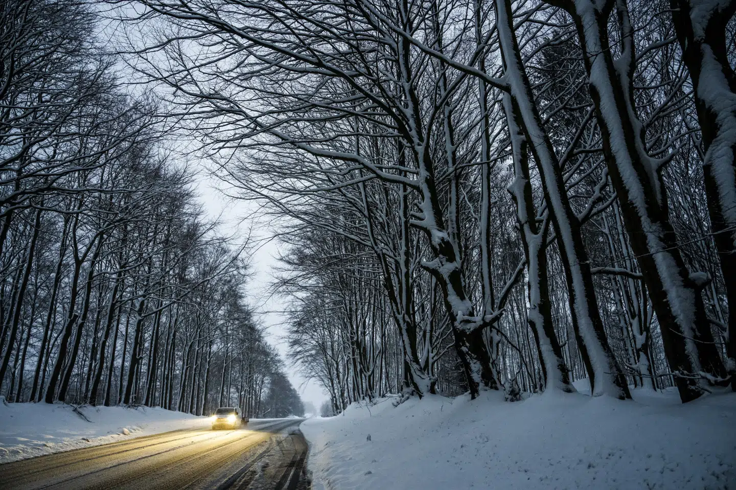 Sneen har i en periode prydet store dele af landet, men den kommende weekend byder ikke på de store mængder nedbør. (Arkivfoto).