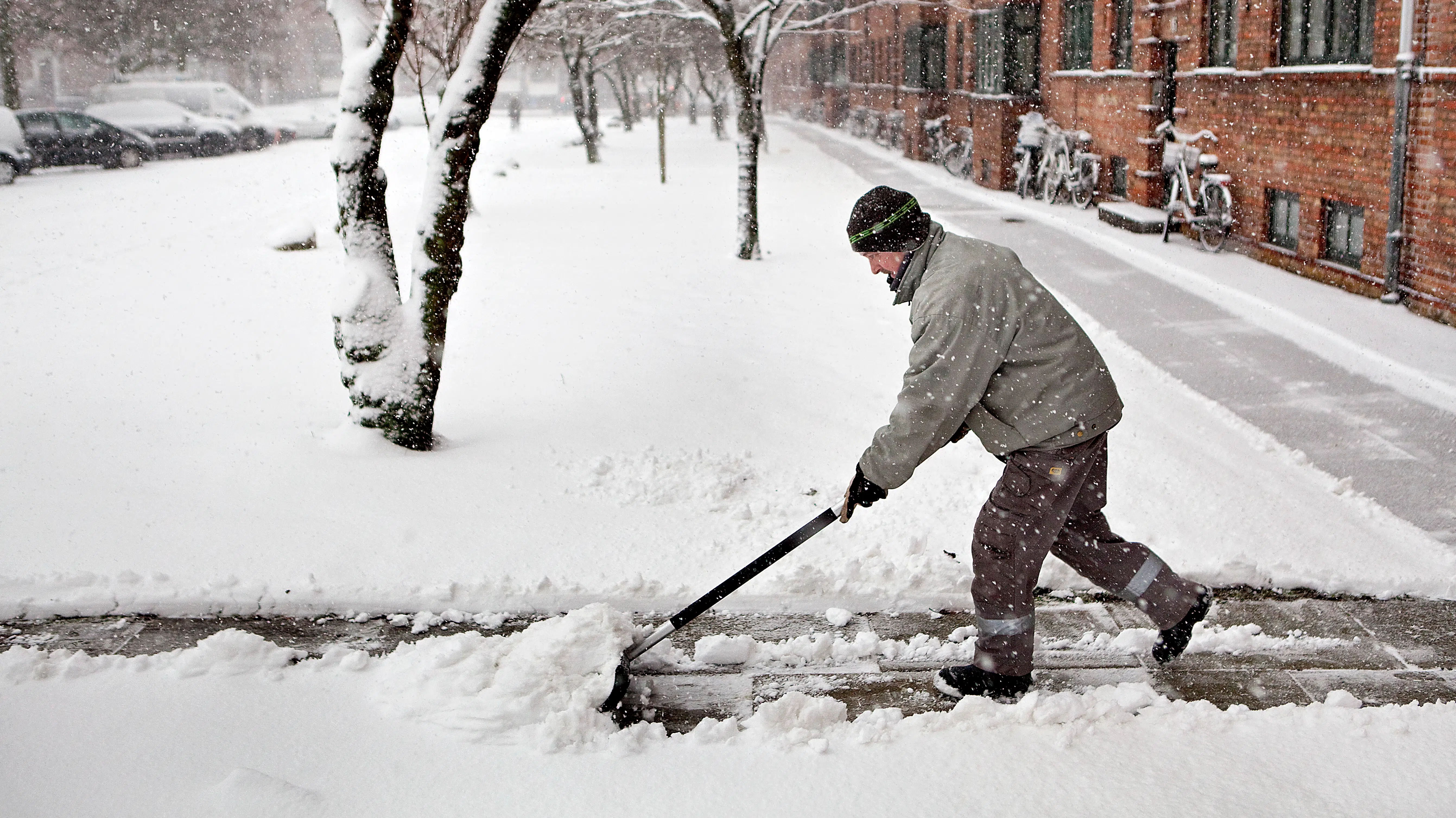 Danskeres snesøgning er eksploderet: Steget med 3865 procent