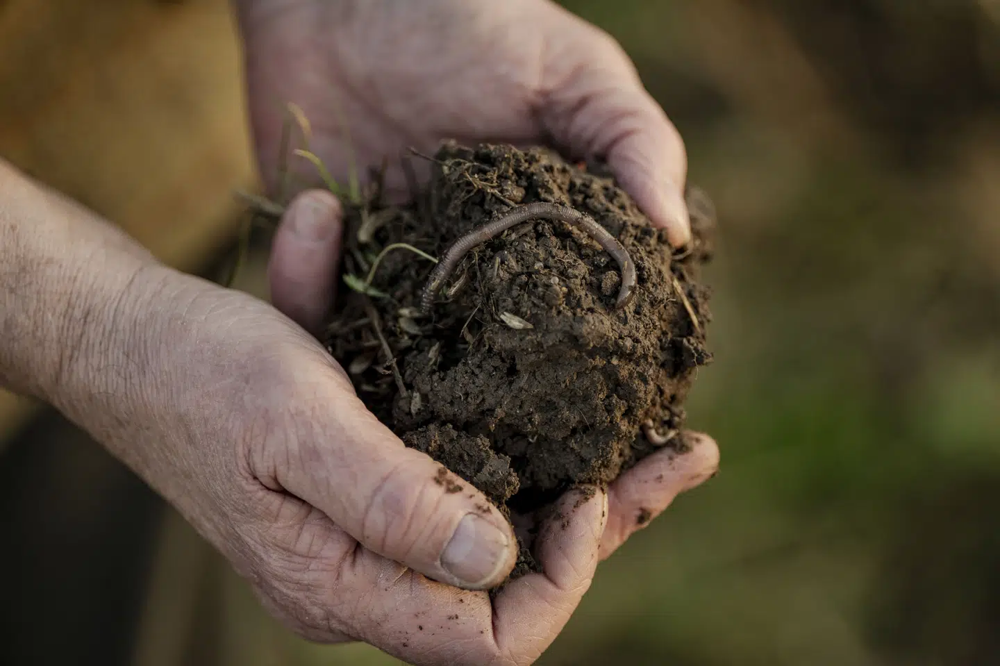 Alle 98 kommuner har vedtaget omlægningsplaner, der nu skal realiseres. Her ses en klump jord fra landbruget Knudstrupgaard i Fjenneslev på Sjælland under et besøg fra ministeren for Grøn Trepart, Jeppe Bruus (S). (Arkivfoto).