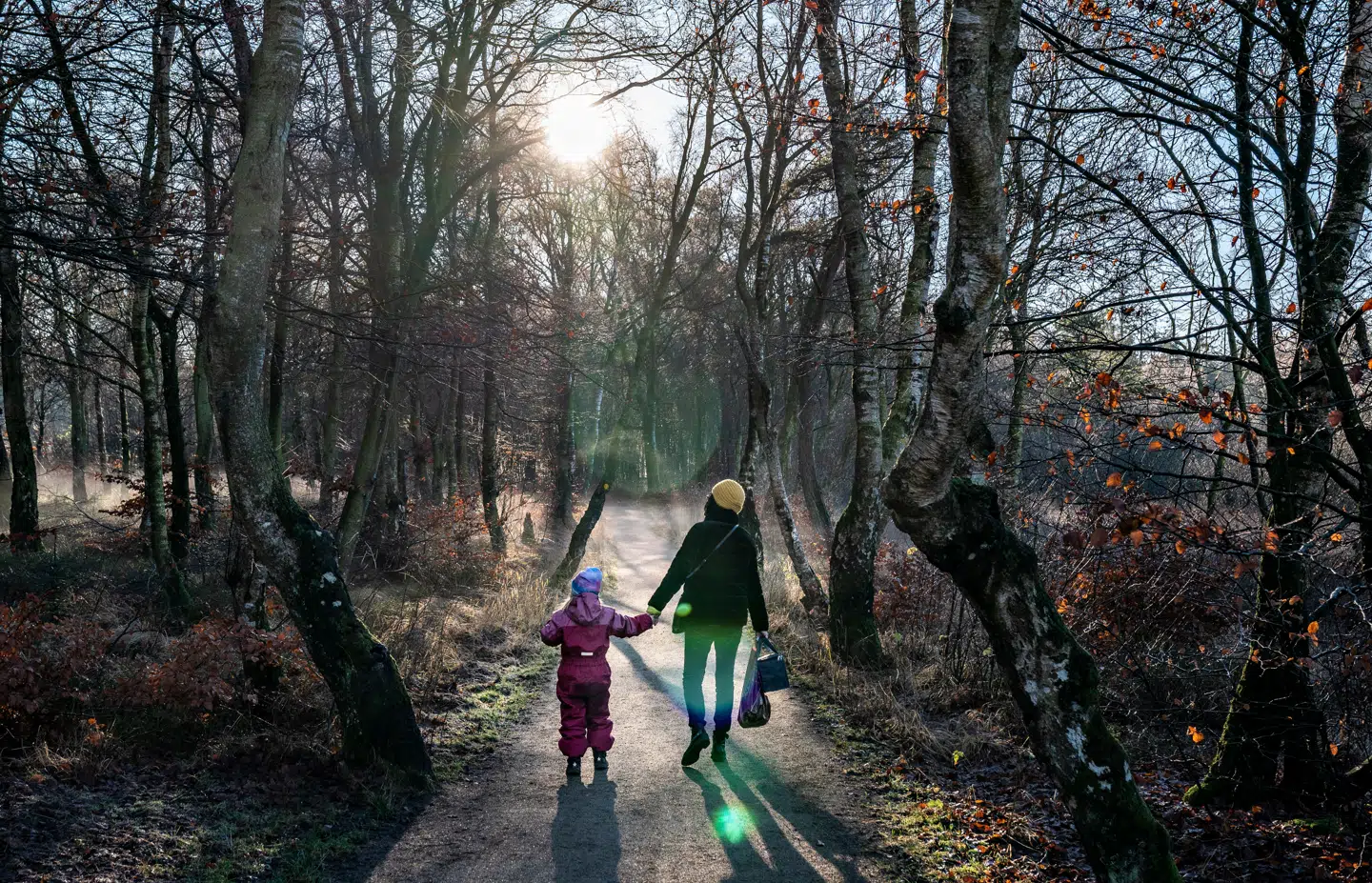 Biodiversitetsloven handler ikke kun om naturbeskyttelse i snæver forstand, men også om menneskers livskvalitet, og hvor attraktivt det er at bo og leve uden for de større byer. Arkivfoto: Henning Bagger/Ritzau Scanpix