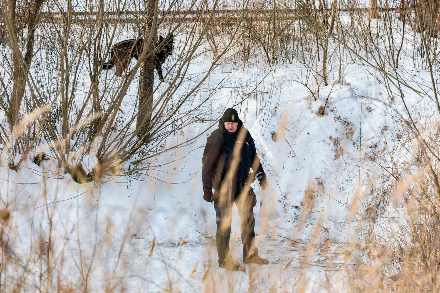 Flere betjente er i området. Der er også indsat mindst en politihund.