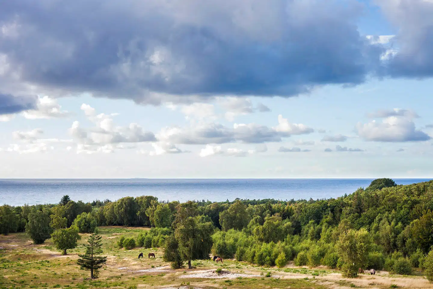 Tisvilde Hegn ligger på Naturstyrelsens areal og strækker sig langs Kattegatskysten fra Tisvildeleje til Asserbo og Liseleje.