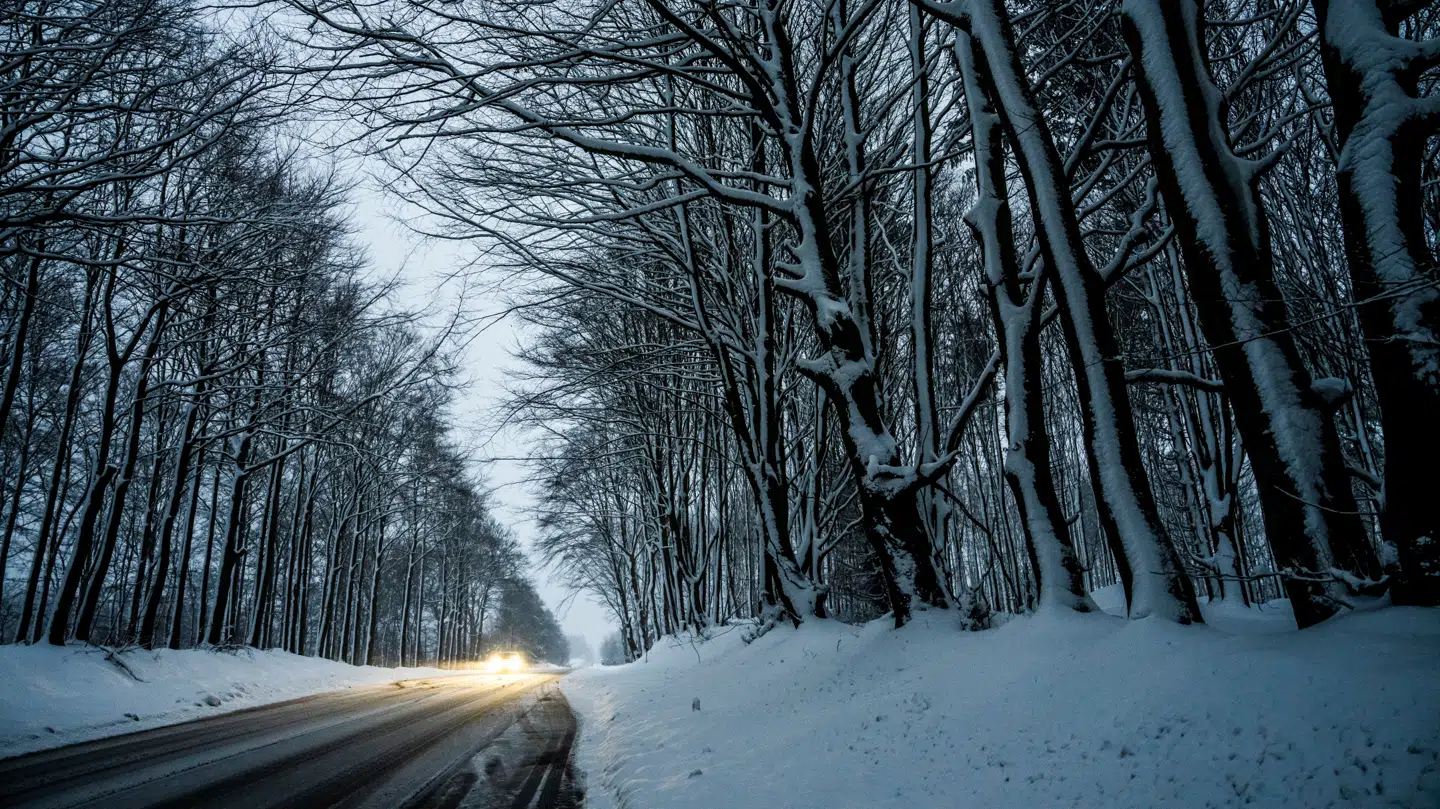 Vi er ikke helt færdig med snebygerne.