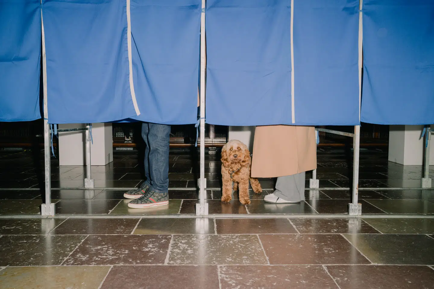 Stemmeretten burde følge statsborgerskabet, ikke postnummeret, mener Signe Fenger Olesen. Foto: Rune Øe