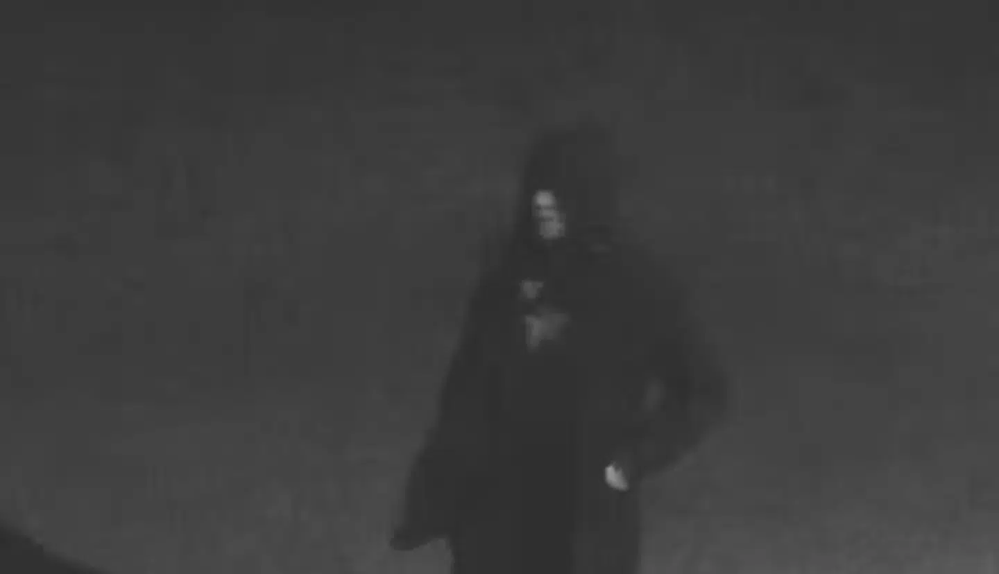 Her er billedet af den person, som politiet har efterlyst.