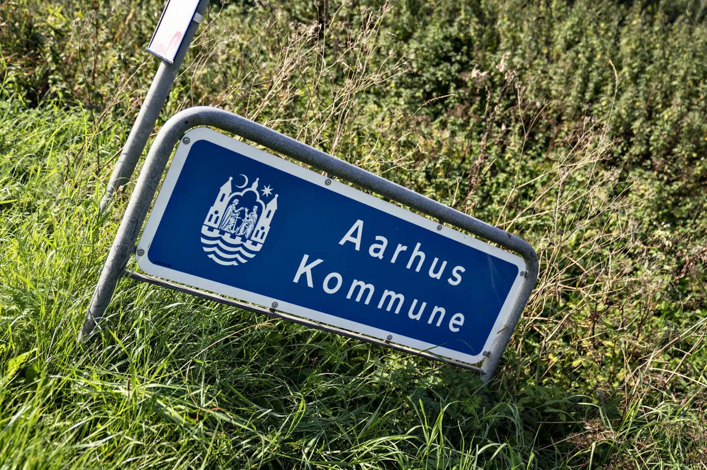 Eskimovej, som siden 1942 har været en del af polarkvarteret, der blandt andet har vejnavne som Ivigtutvej, Nordlysvej og Hans Egedes Vej, skal fremover hedde Silavej. (Arkivfoto).