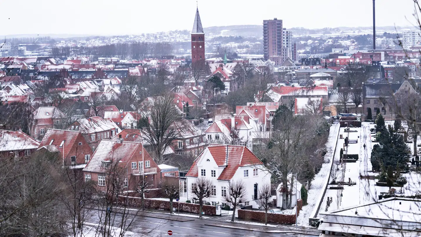 Sneudsigt over byen fra Skovbakken i Aalborg, 7. januar 2021.