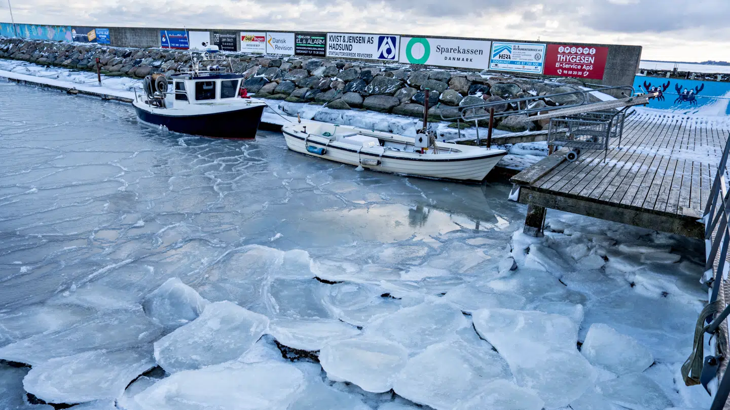 Arkivfoto. De frosne og glatte tilstande skaber usikre situationer på havnene, advarer Søsportens Sikkerhedsråd nu.