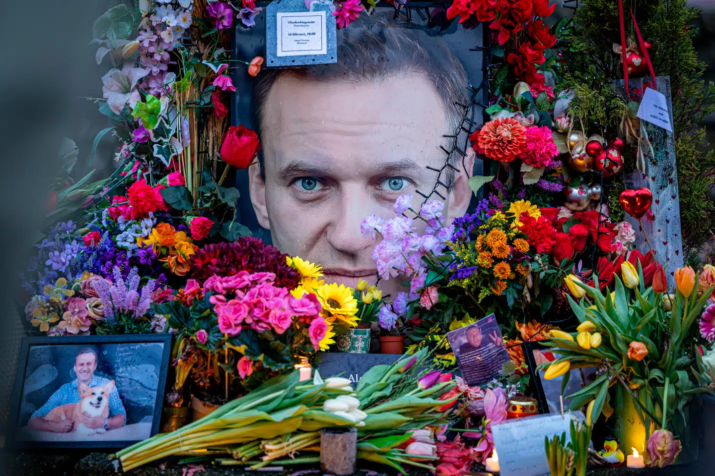 Arkivfoto: Laurens Niezen, Scanpix