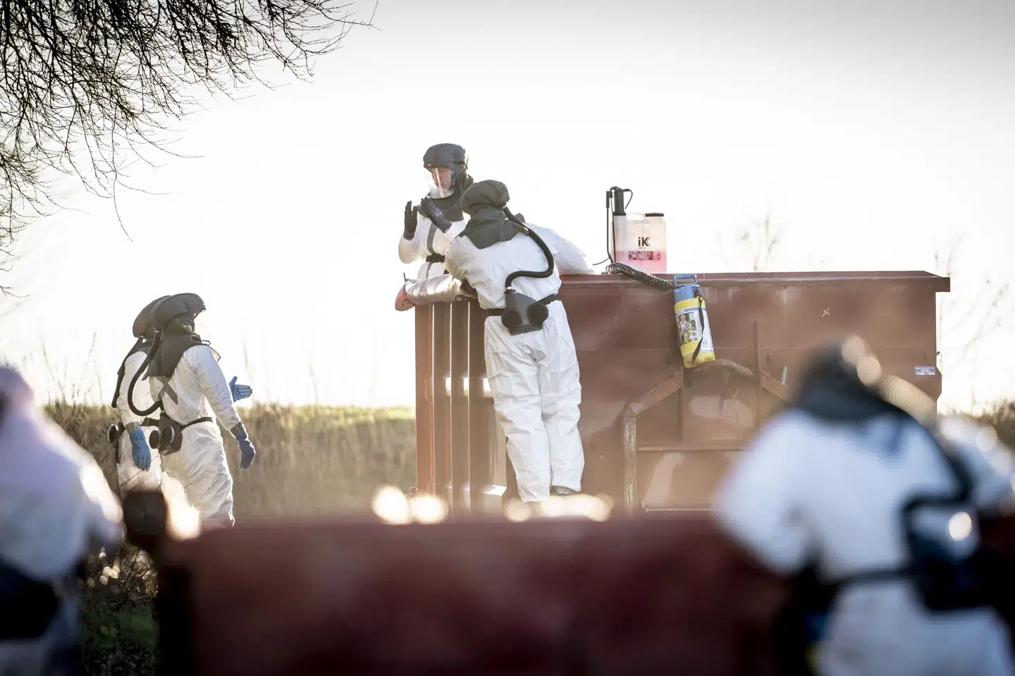 Smittetrykket med fugleinfluenza har været højt i Danmark i år. Tidligere har Fødevarestyrelsen og Beredskabsstyrelsen i fælles samarbejdet aflivet en kalkunbesætning på en kalkunfarm ved Ruds Vedby på Vestsjælland. (Arkivfoto).