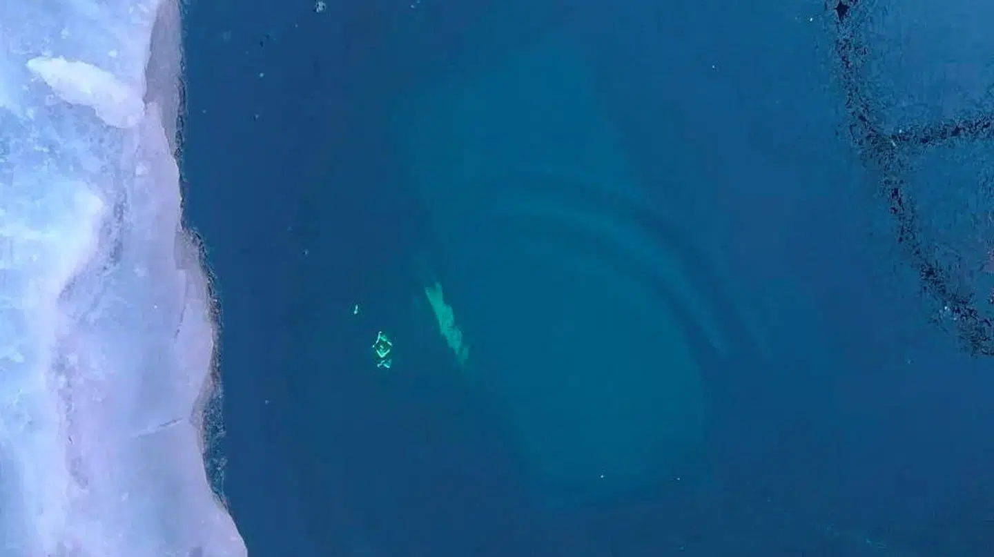 I det klare ferskvand kunne undervandskameraer hurtigt lokalisere de otte lig ved den forulykkede minibus på søens bund.