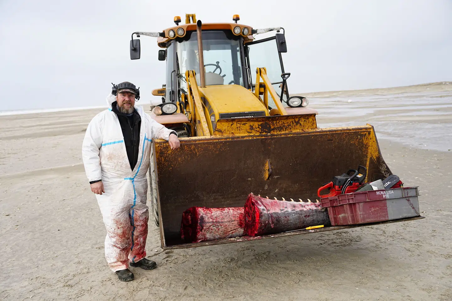 Strandfoged Michael Baun har lørdag været ude ved kaskelothvalerne på det nordlige Fanø for at fjerne deres kæber. Kaskelothvalerne er strandet i et område ved Fanø og halvøen Skallingen, der ligger ud for Esbjerg.