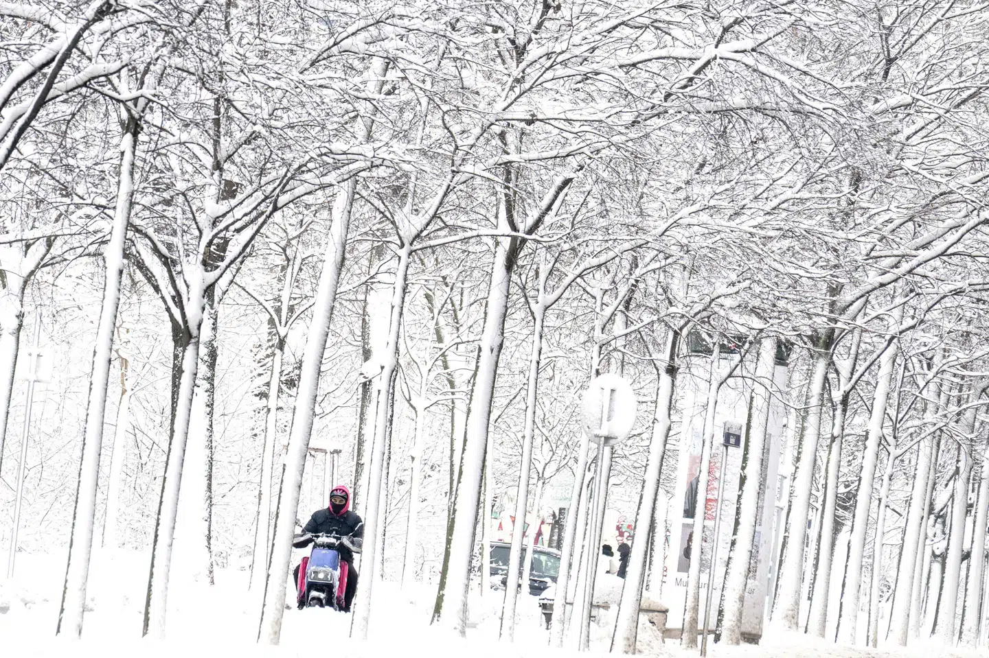 Kraftigt snefald i Østrig har dræbt syv mennesker siden fredag og skabt transportkaos og strømafbrydelser. (Arkivfoto).