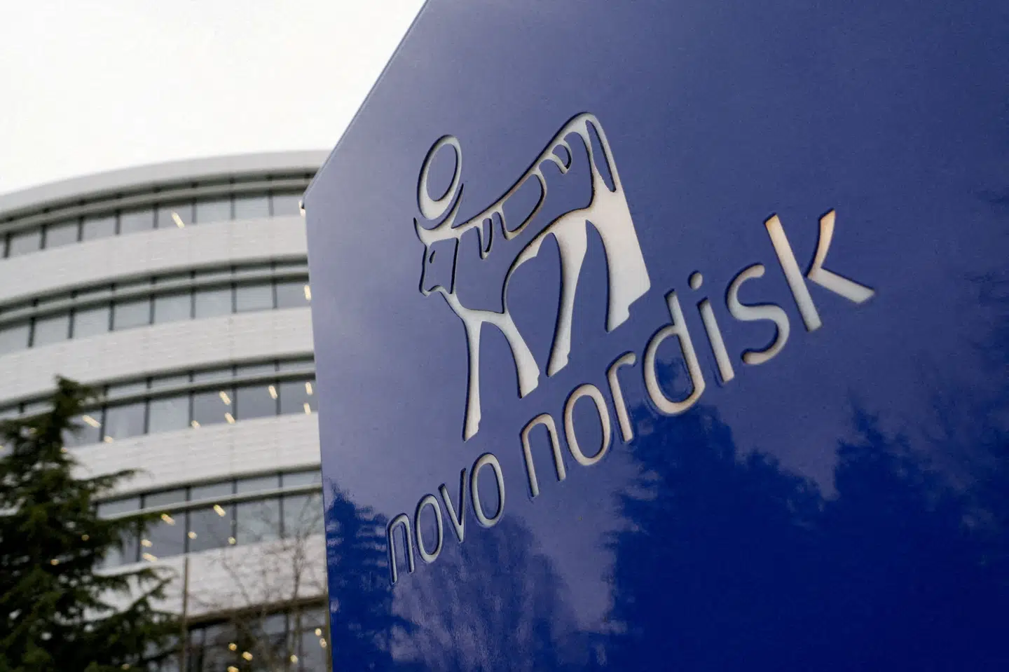 Novo Nordisk-aktien dykkede mandag, efter at et studie har vist, at deltagere tabte sig mere på konkurrende lægemiddel end på Novos Cagrisema. (Arkivfoto).