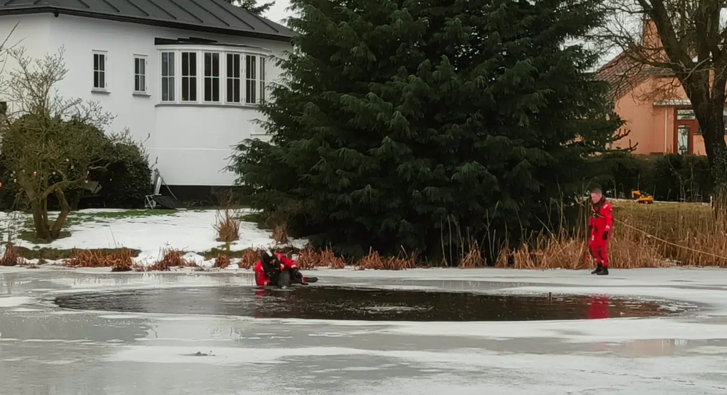 En hund er blevet reddet op af en mindre sø i Gentofte.