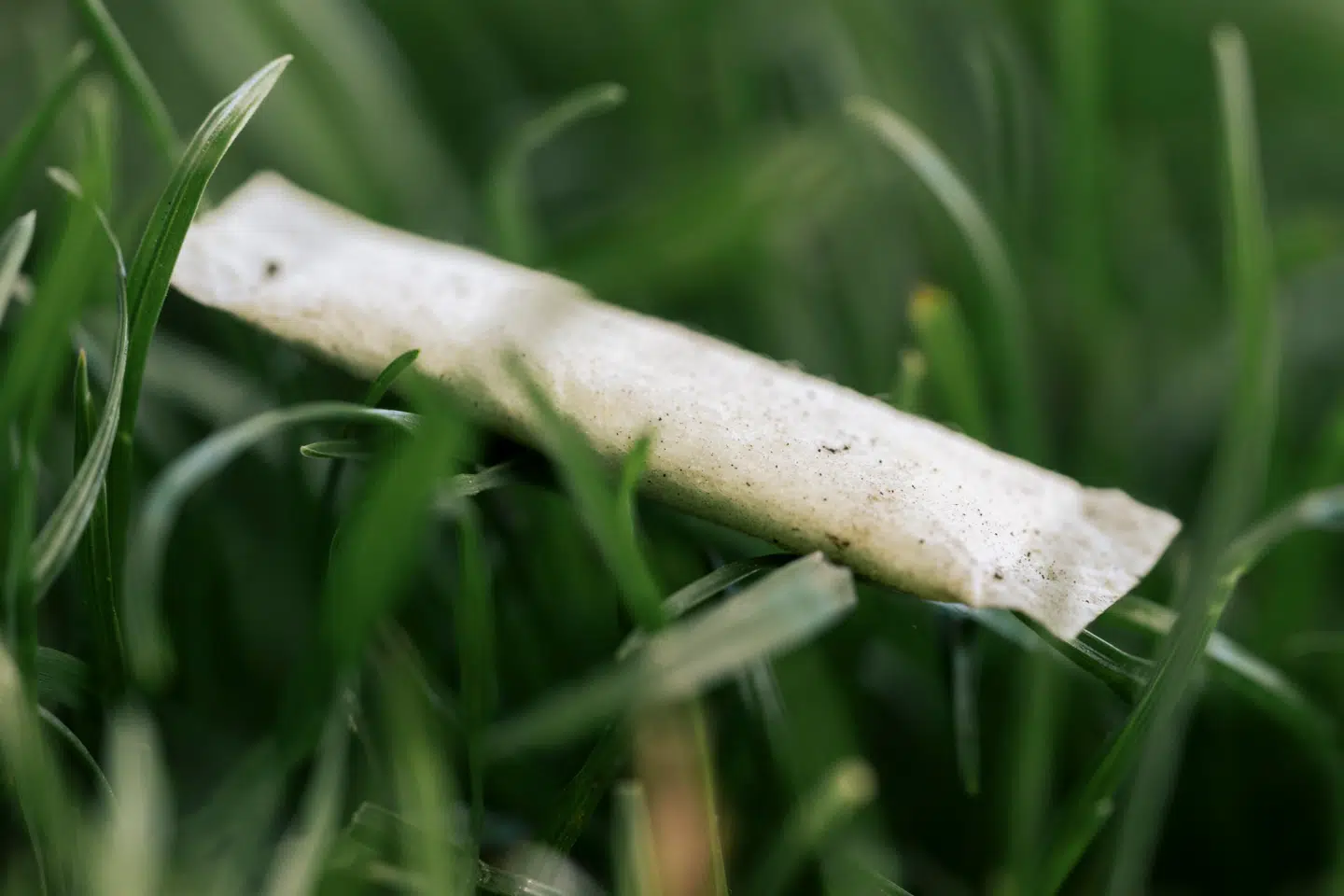 Miljøstyrelsen vurderer at cirka 5,3 millioner brugte nikotinposer havner i naturen hvert år til stor skade for miljøet.