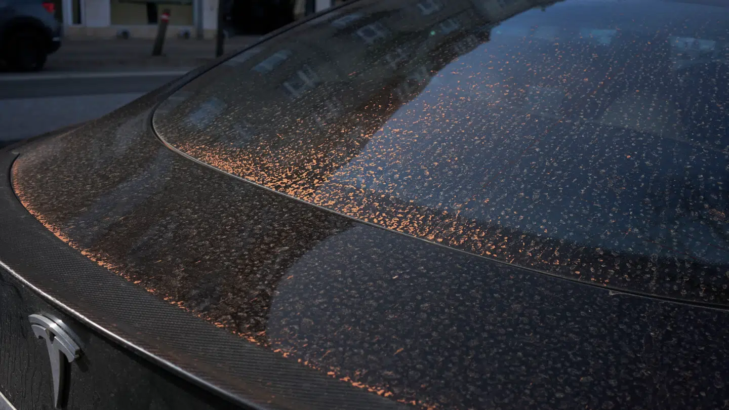 ARKIVFOTO af 'blodregn' på en bil.