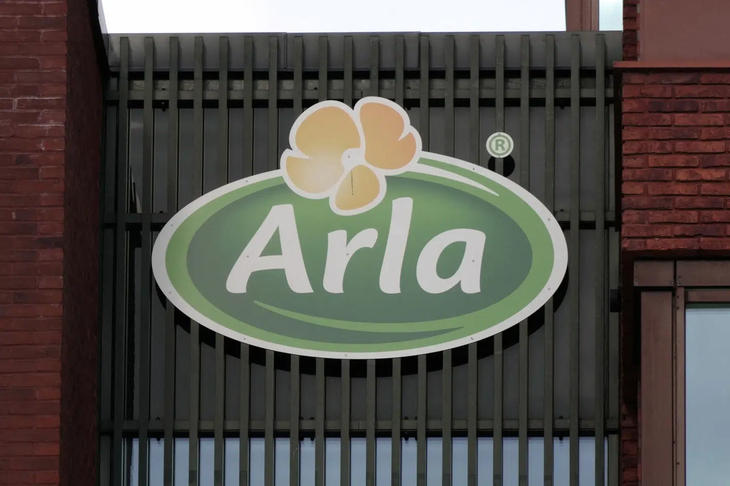 Investeringen i en osteproduktion i Sverige er Arlas hidtil største. (Arkivfoto).