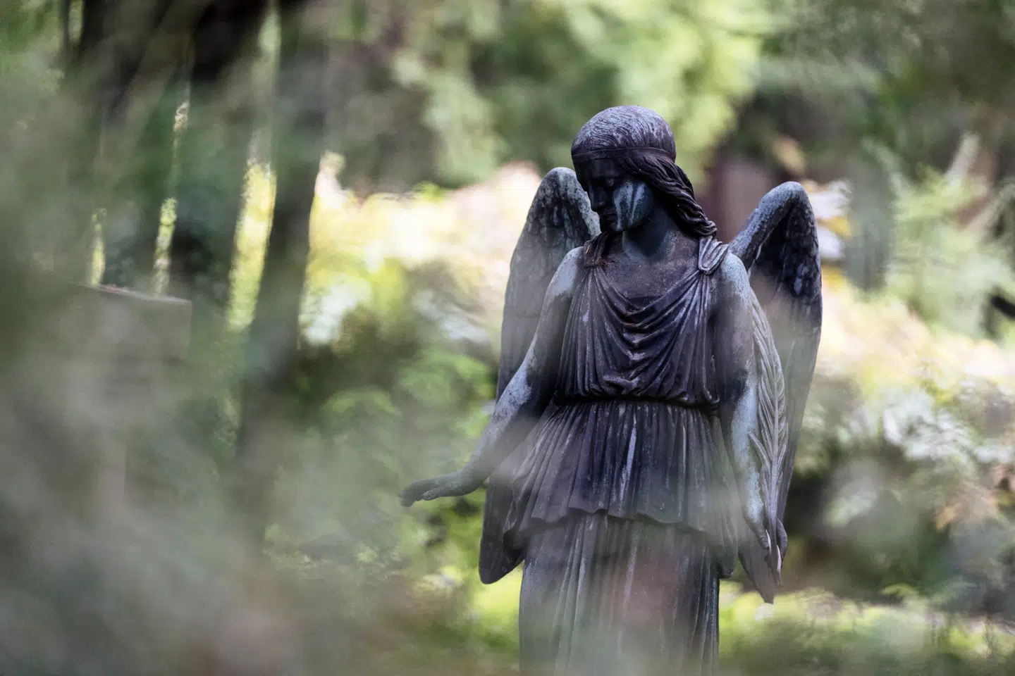 For en måned siden blev rester af 156 københavnere i al stilhed gravlagt på Vestre Kirkegård.