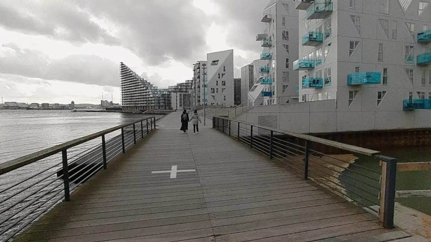 Det er broen her ved Helga Pedersens Gade på Aarhus Ø, der har chokeret hundeejere.