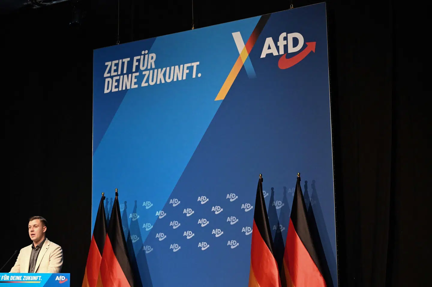 Der har været stor debat om myndighedernes tilgang til partiet Alternative für Deutschland. (Arkivfoto).