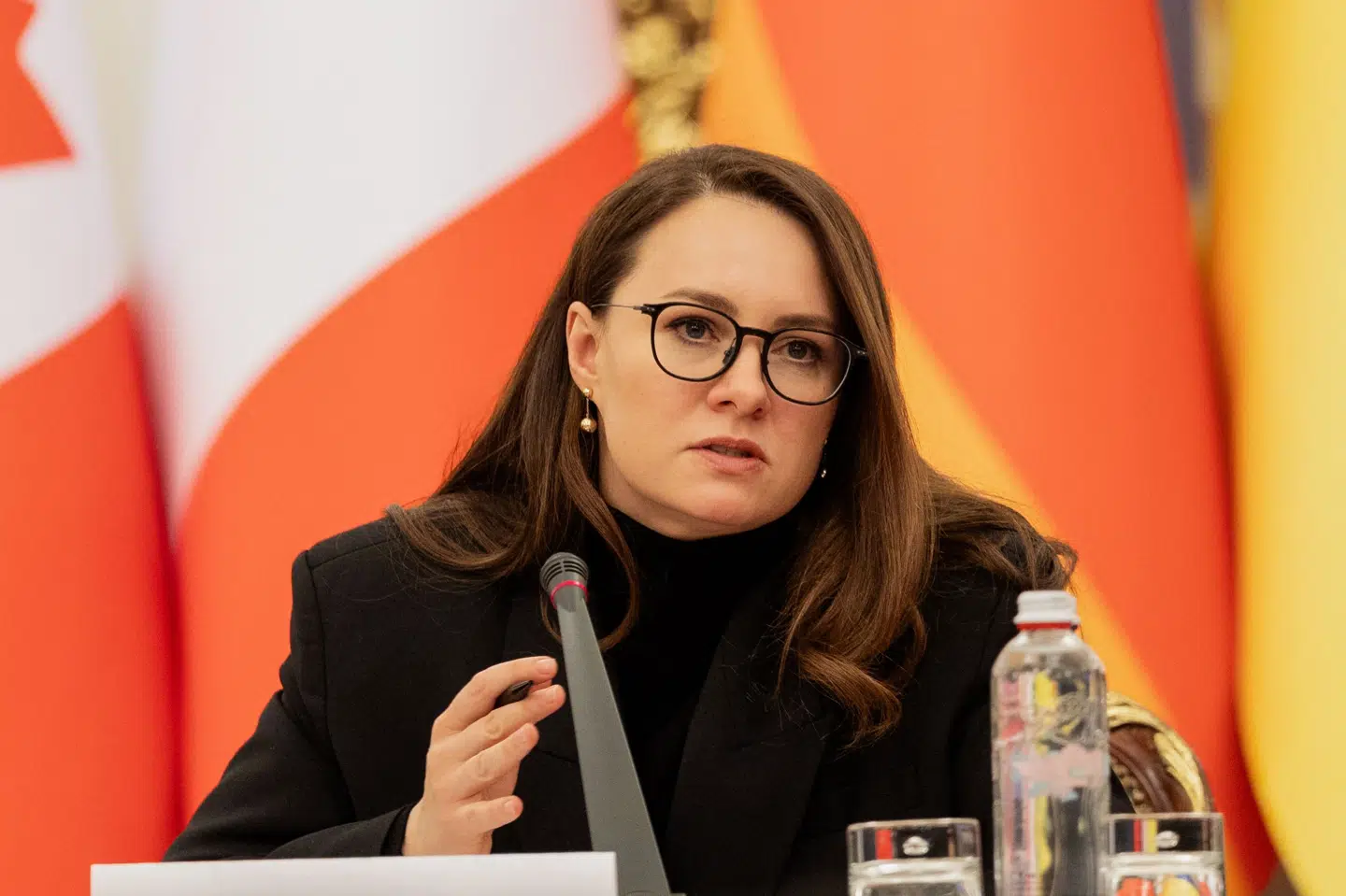 Ukraines premierminister, Julija Svyrydenko, takker IMF for at godkende lånet på 51 milliarder kroner til Ukraine. (Arkivfoto).