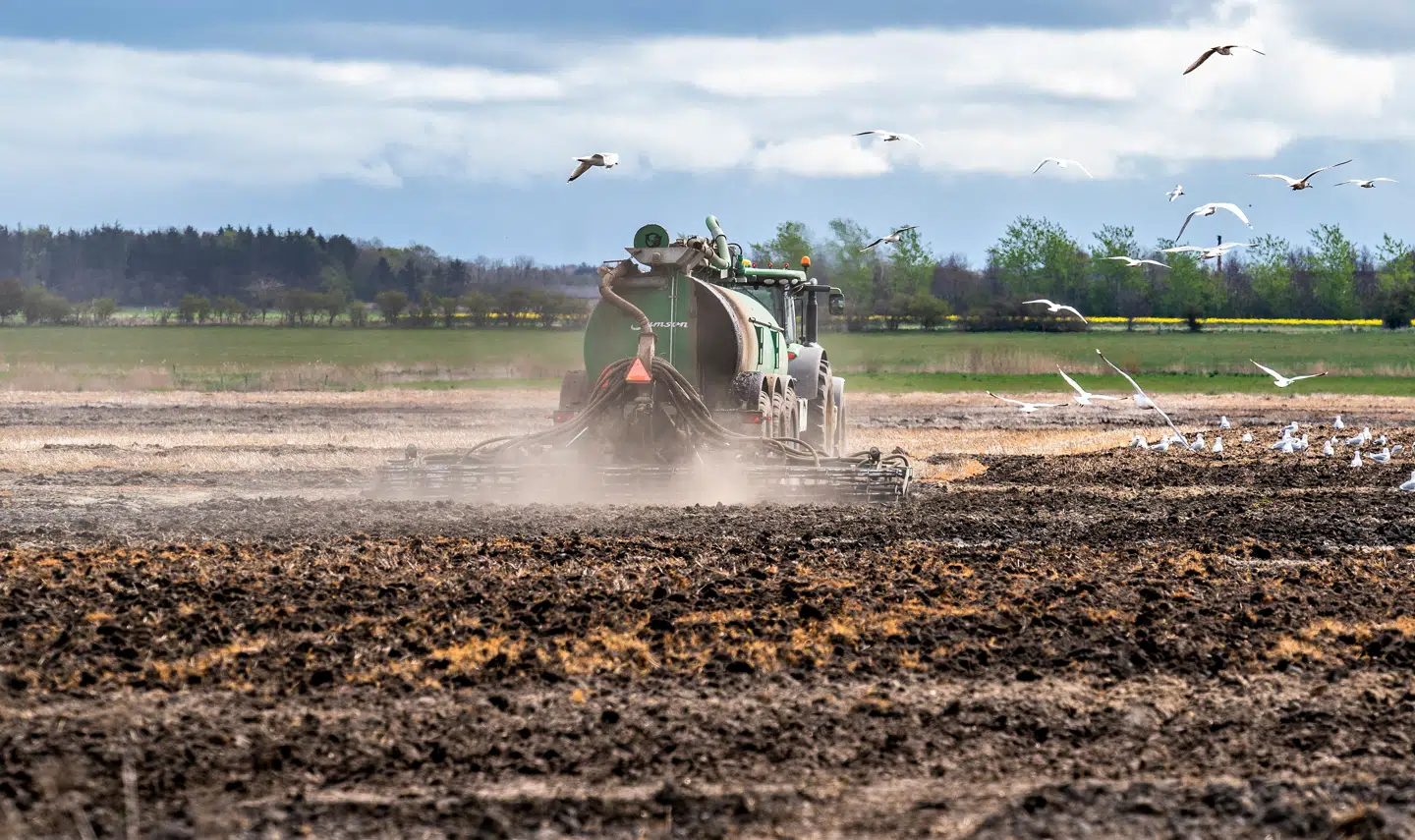 Et sprøjteforbud kan juridisk gennemføres som en erstatningsfri regulering, lyder det fra kronikørerne Jens Elo Rytter og Sune Klinge, der er henholdsvis professor og lektor i forfatningsret på Det Juridiske Fakultet ved Københavns Universitet. Arkivfoto: Henning Bagger/Ritzau Scanpix