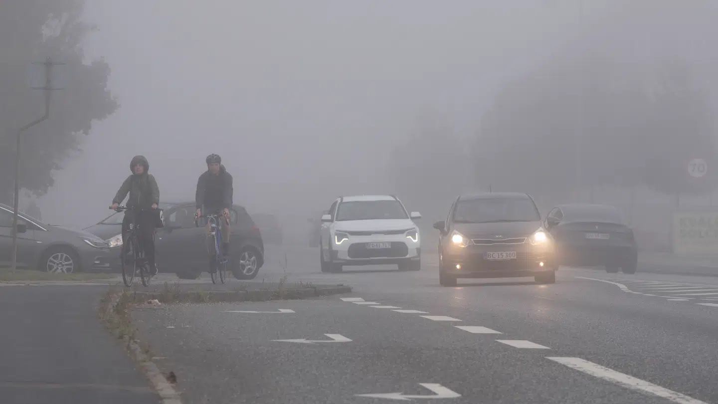 Lørdagens vejr er præget af skyer og regn, men også dis og tåge. (Arkivfoto)