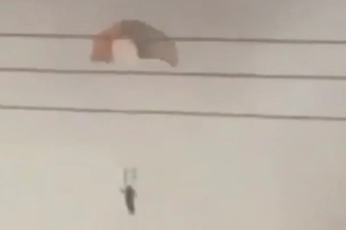 Person med faldskærm ses over Kuwait på et billede delt på sociale medier mandag.