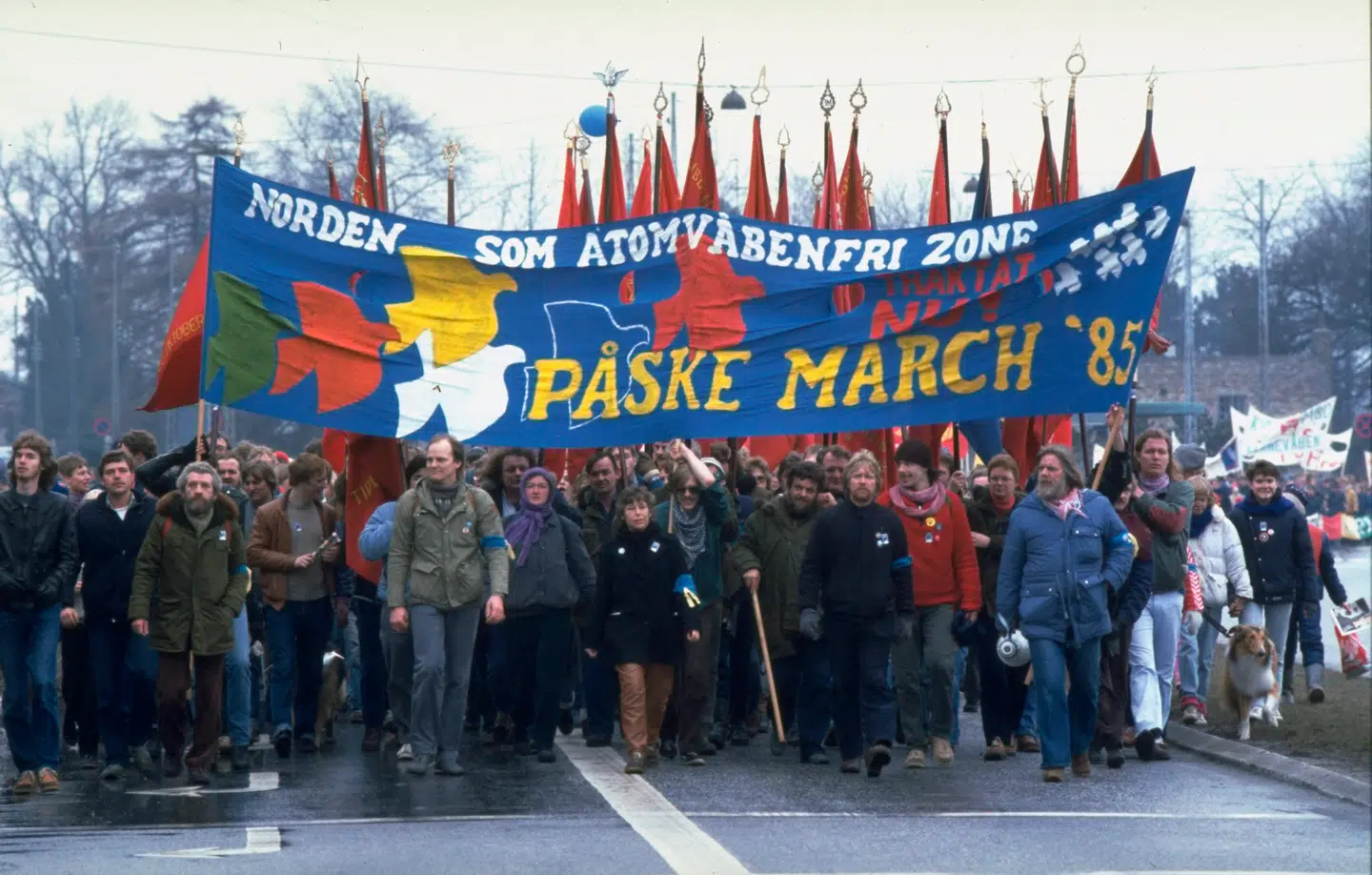 Danske politikere ville ikke have atomvåben, og fredsbevægelsen kæmpede under Den Kolde Krig imod atomvåben. På billedet marcherer fredsaktivister i 1985 for Norden som atomvåbenfri zone. Danmark havde reelt meldt sig ud af NATOs atomstrategi, har forskere hævdet. I virkeligheden gjorde en kreds af ledende officerer i al hemmelighed Danmark til en de facto atommagt, afslører historiker i ny bog.