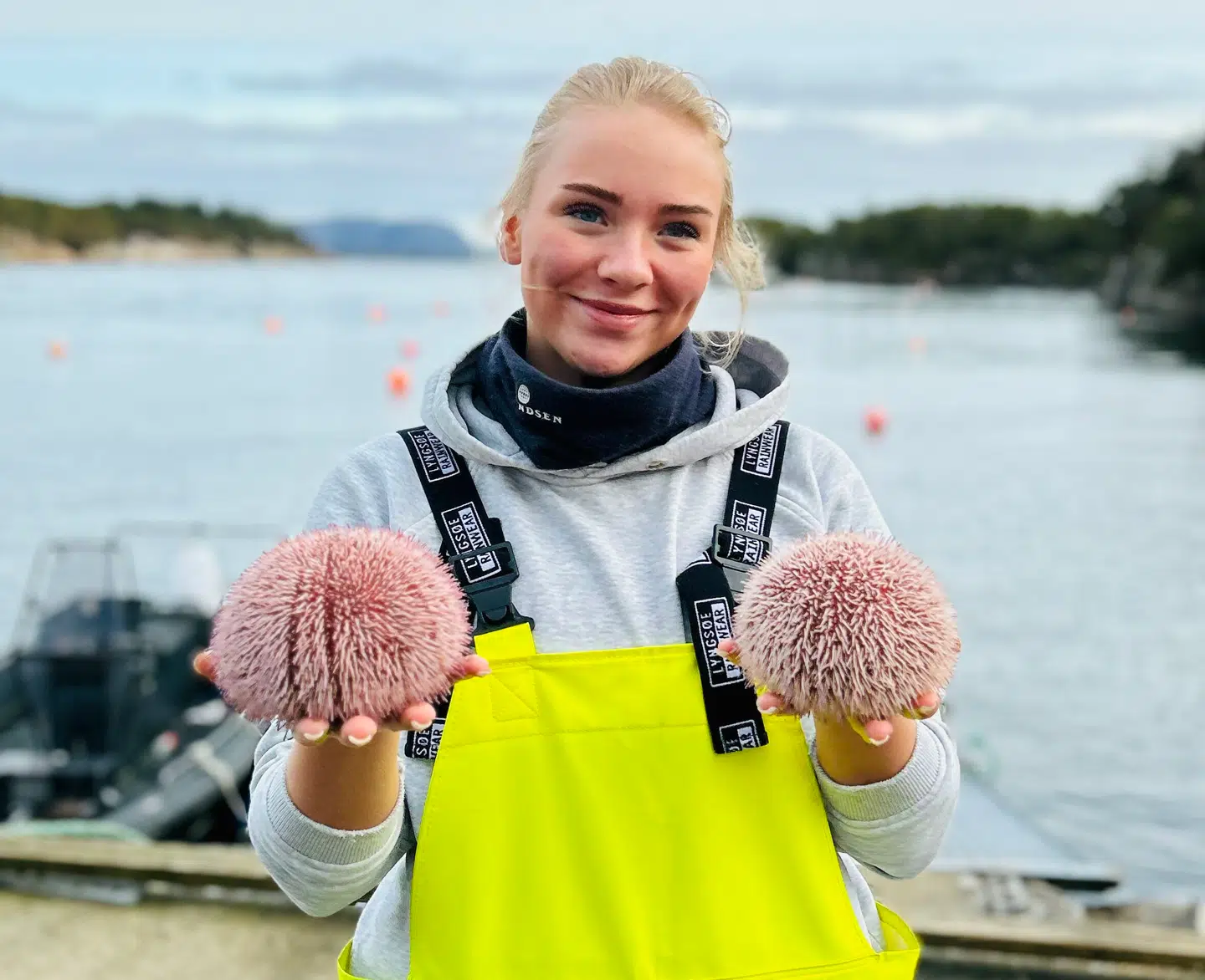 To perfekte eksemplarer af Echinus Acutus i hænderne på Scalmarins medarbejder. På dansk kaldes arten spids søpindsvin og på norsk langpigged kråkebolle.