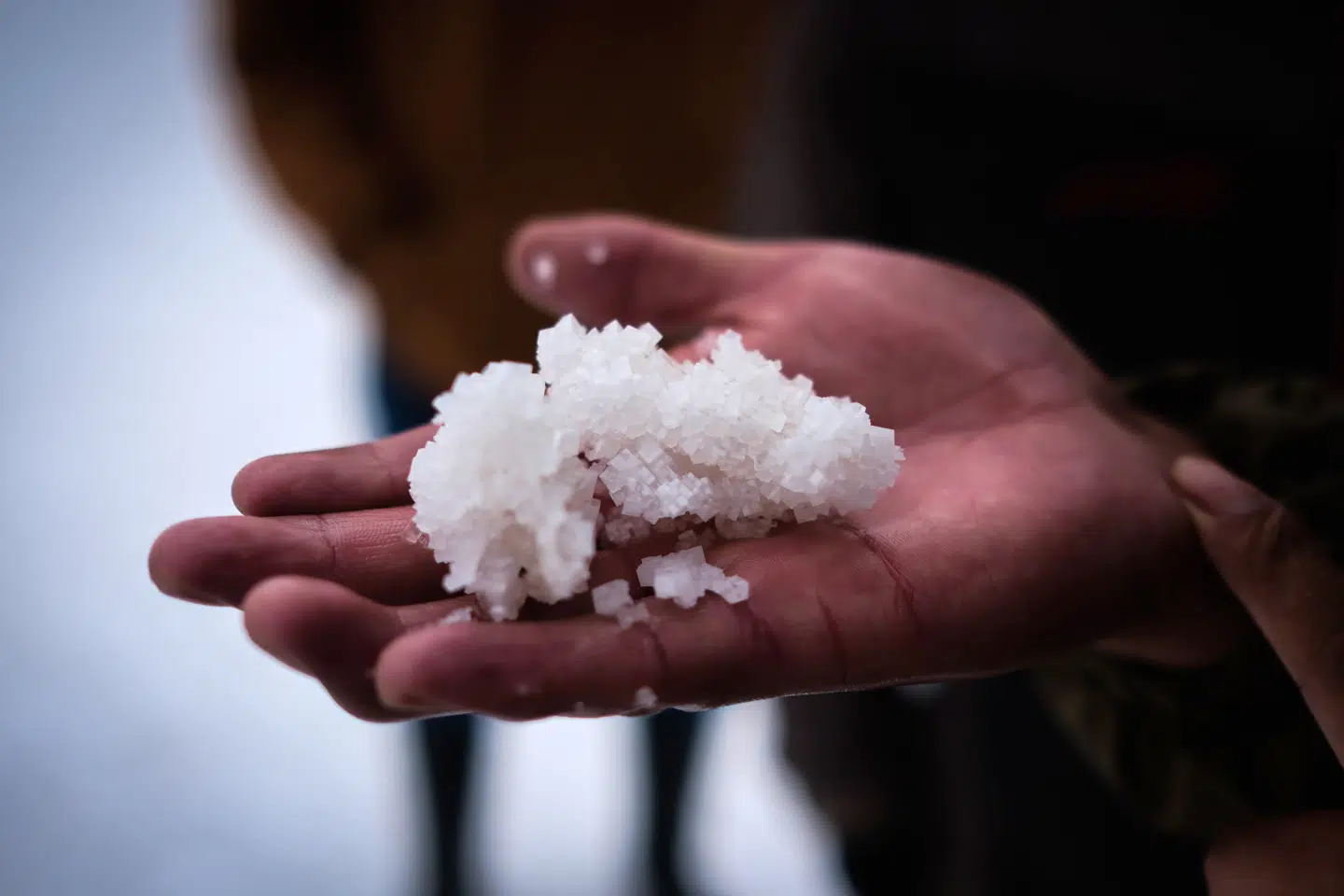 Mennesket er ikke den eneste art, der er optaget af smukke krystaller. Foto: Luis Gandarillas, Scanpix