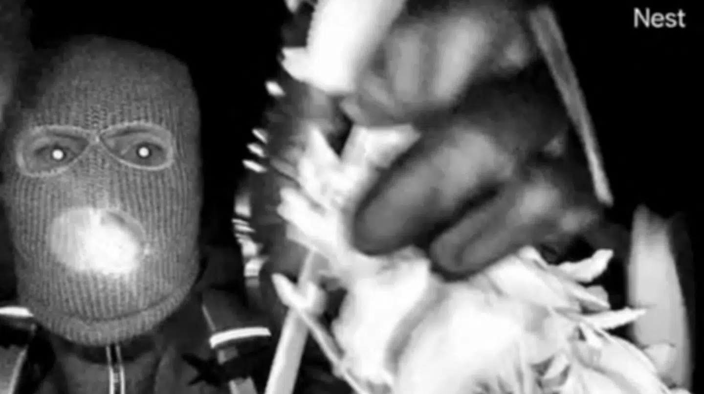 Her ses manden, som er blevet fanget af overvågningskameraerne ved Nancy Guthries hus.