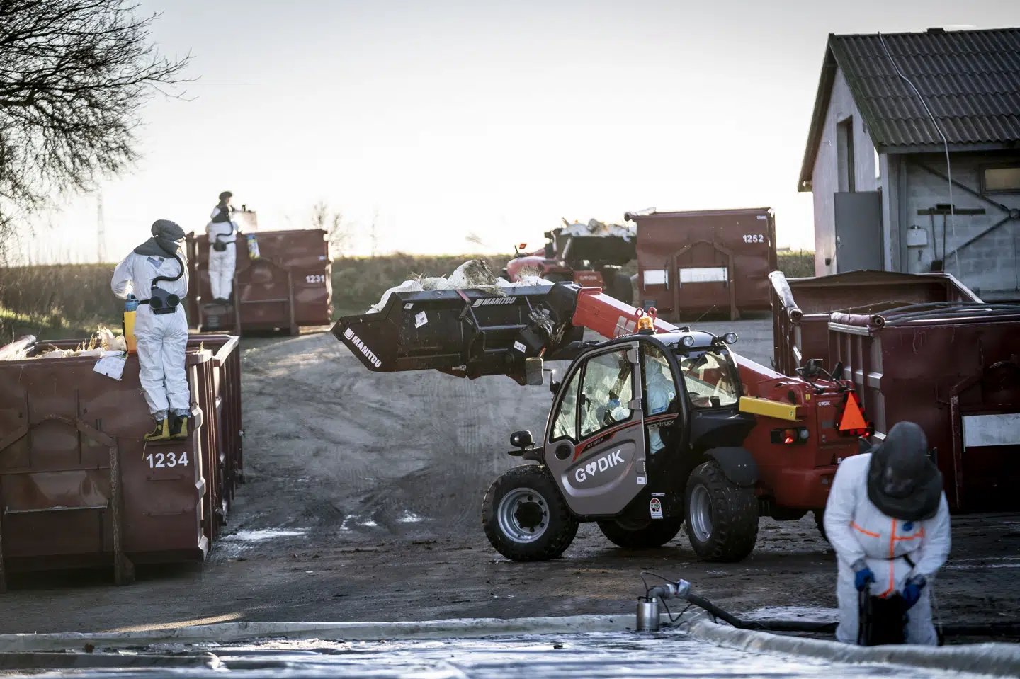 Det er almindelig praksis, at fugle aflives, når der registreres fugleinfluenza i en besætning. På billedet ses arbejdet med at aflive 60.000 kalkuner efter fund af fugleinfluenza på en farm ved Ruds Vedby i januar 2022. (Arkivfoto).