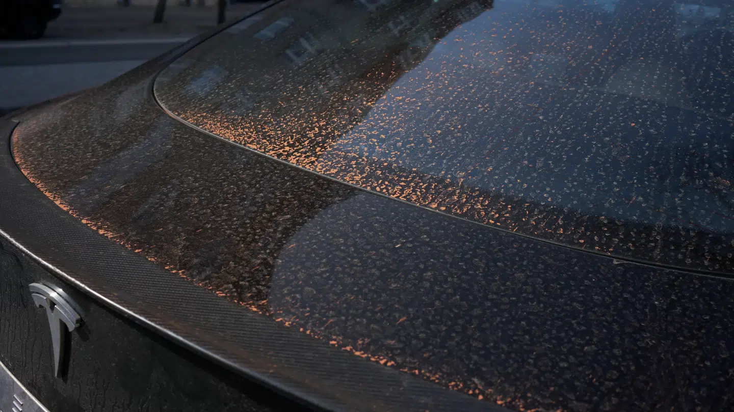 Blodregn - Saharastøv på en bil i Hellerup efter blodregn, 13. marts 2021.