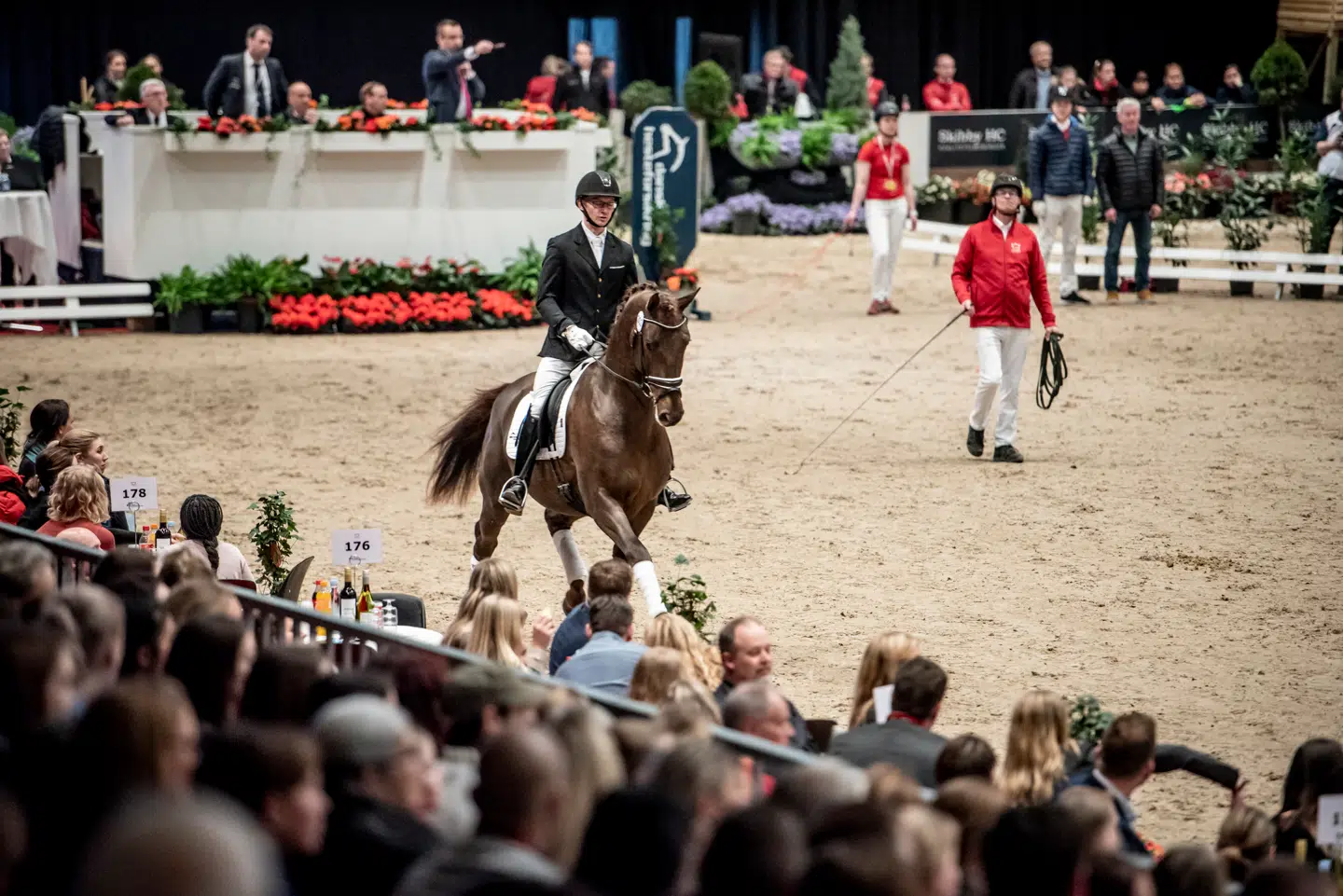 Dansk Varmblods Hingstekåring afholdes hvert år i Herning, og normalt har prinsesse Benedikte som protektor en fremtrædende rolle. Men i år har hun måttet aflyse i sidste øjeblik.
