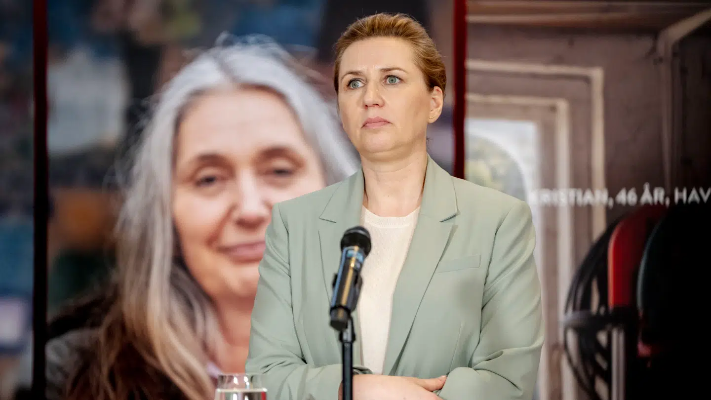 Socialdemokratiet, SF, Enhedslisten og Alternativet bakker op om at indføre en formueskat.