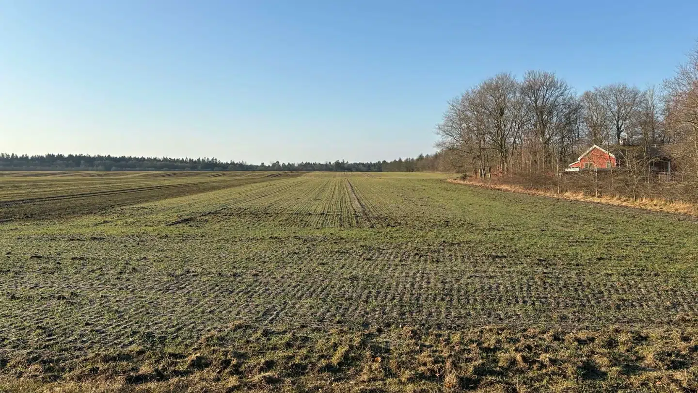 Her ses den store mark, hvor Chelseas hus ligger i højre side af billedet