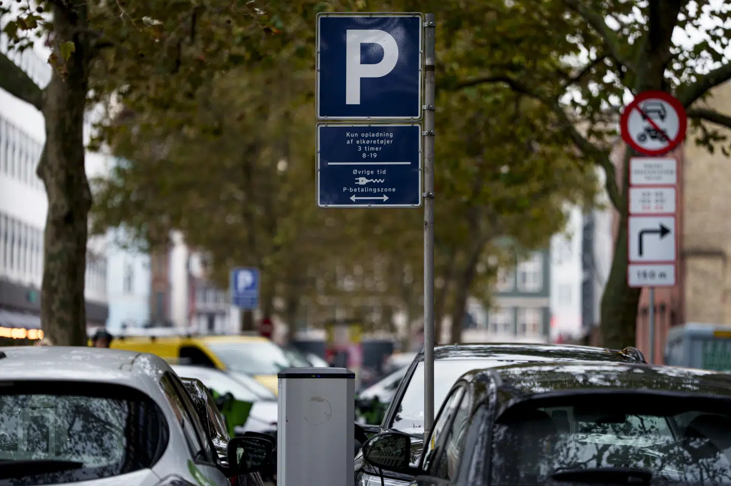 Ifølge borgerforslaget skal private parkeringsfirmaer have en national licens, hvis de skal kunne drive opsyn med parkerede biler. Hvis de ikke overholder reglerne og for eksempel sender opkrævninger ud fra en forkert præmis, mister de licensen. (Arkivfoto).