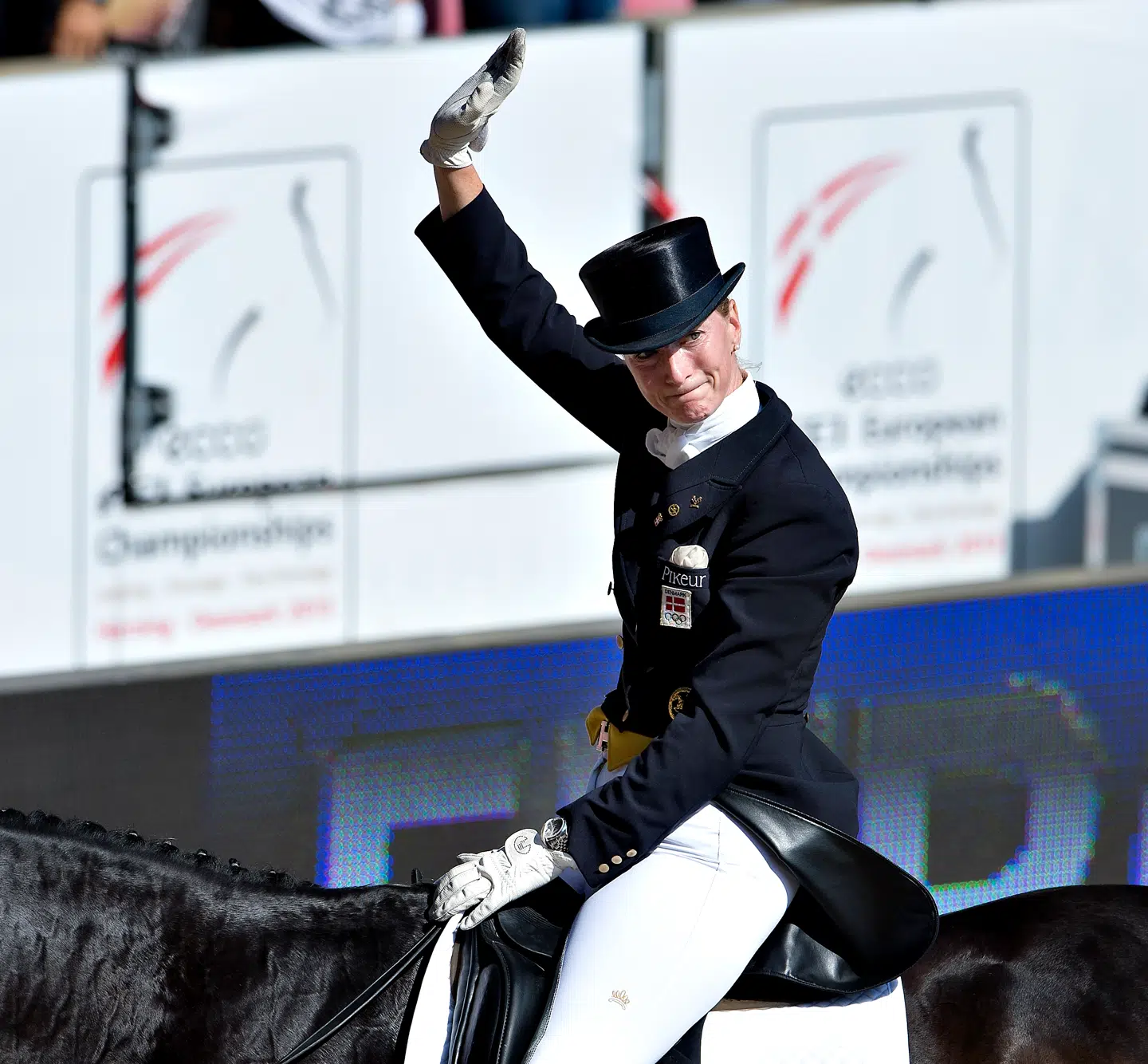 Prinsesse Nathalie zu Sayn-Wittgenstein vandt en bronzemedalje i dressur til OL i London i 2012 med hesten Digby. Her ses duoen modtage hyldest til de europæiske dressurmesterskaber i Herning i 2013.