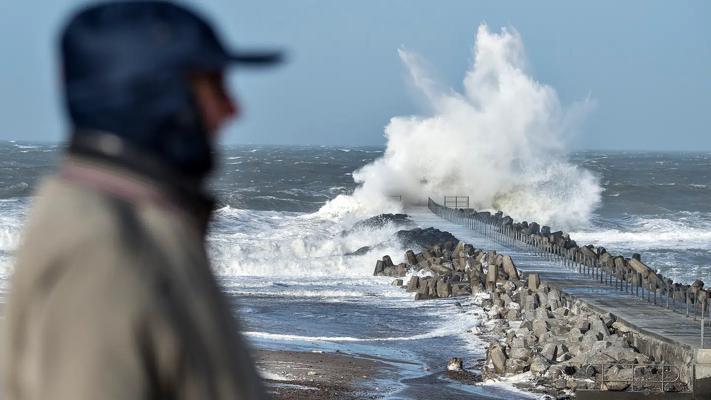 (arkivbillede) Torsdag bliver i store dele af landet meget blæsende.